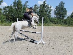 img_3644_web